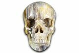 Realistic, Banded Light Purple Fluorite Skull #378661-1